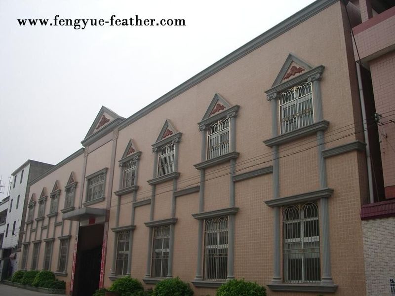 Guangdong Hongfa Import & Export Co., Ltd.