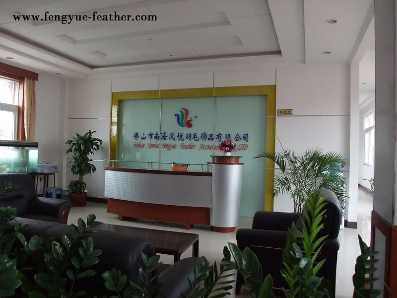 Guangdong Hongfa Import & Export Co., Ltd.