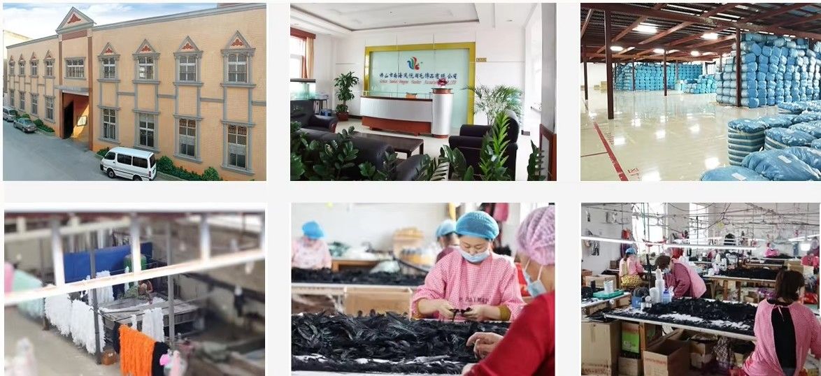 Guangdong Hongfa Import & Export Co., Ltd.