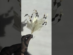 Sammlung von Federbügeln